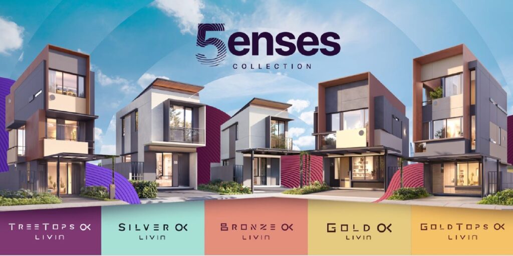 type 5ense collection